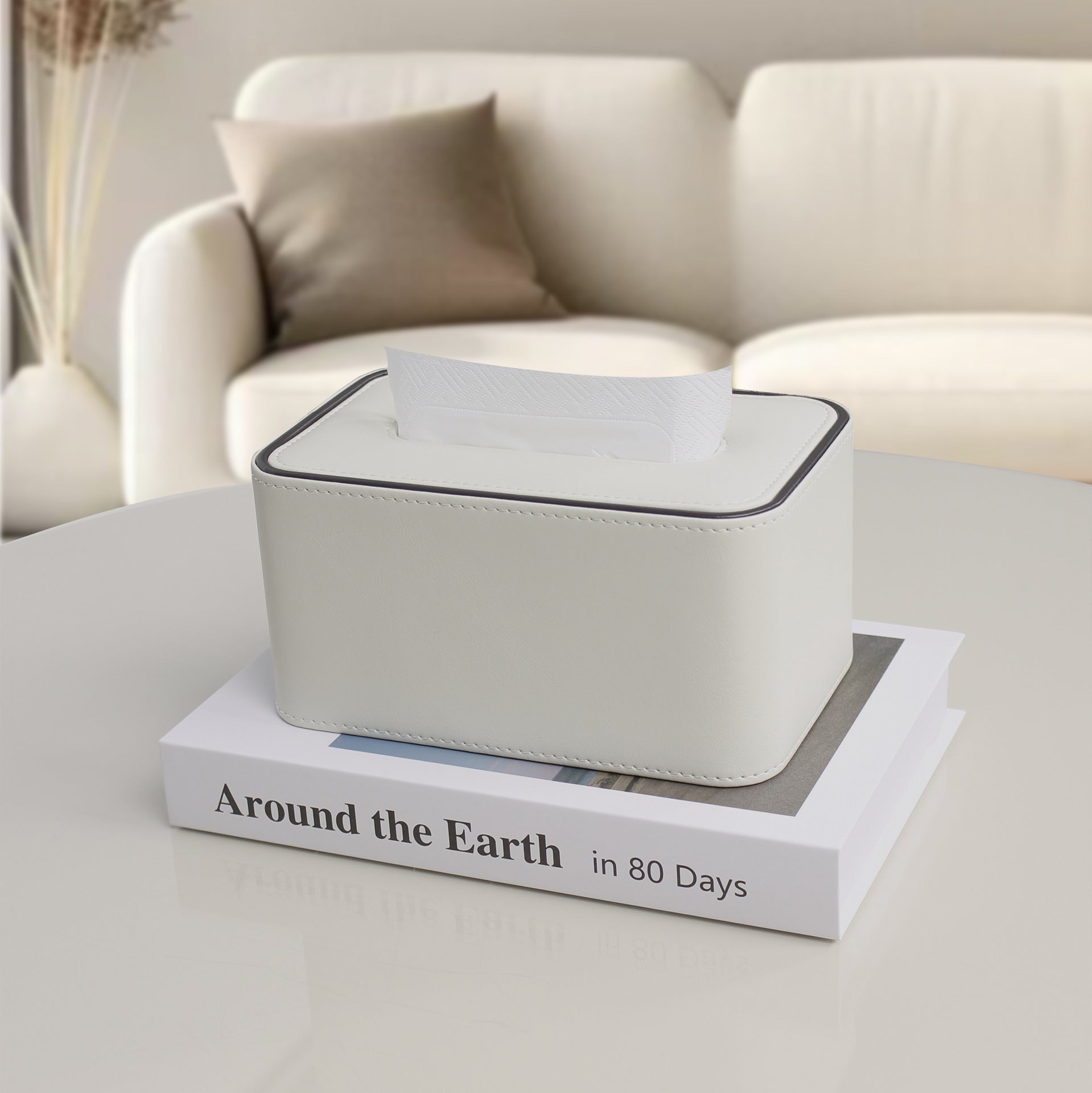 Desktop Tissue Box With Remote Storage