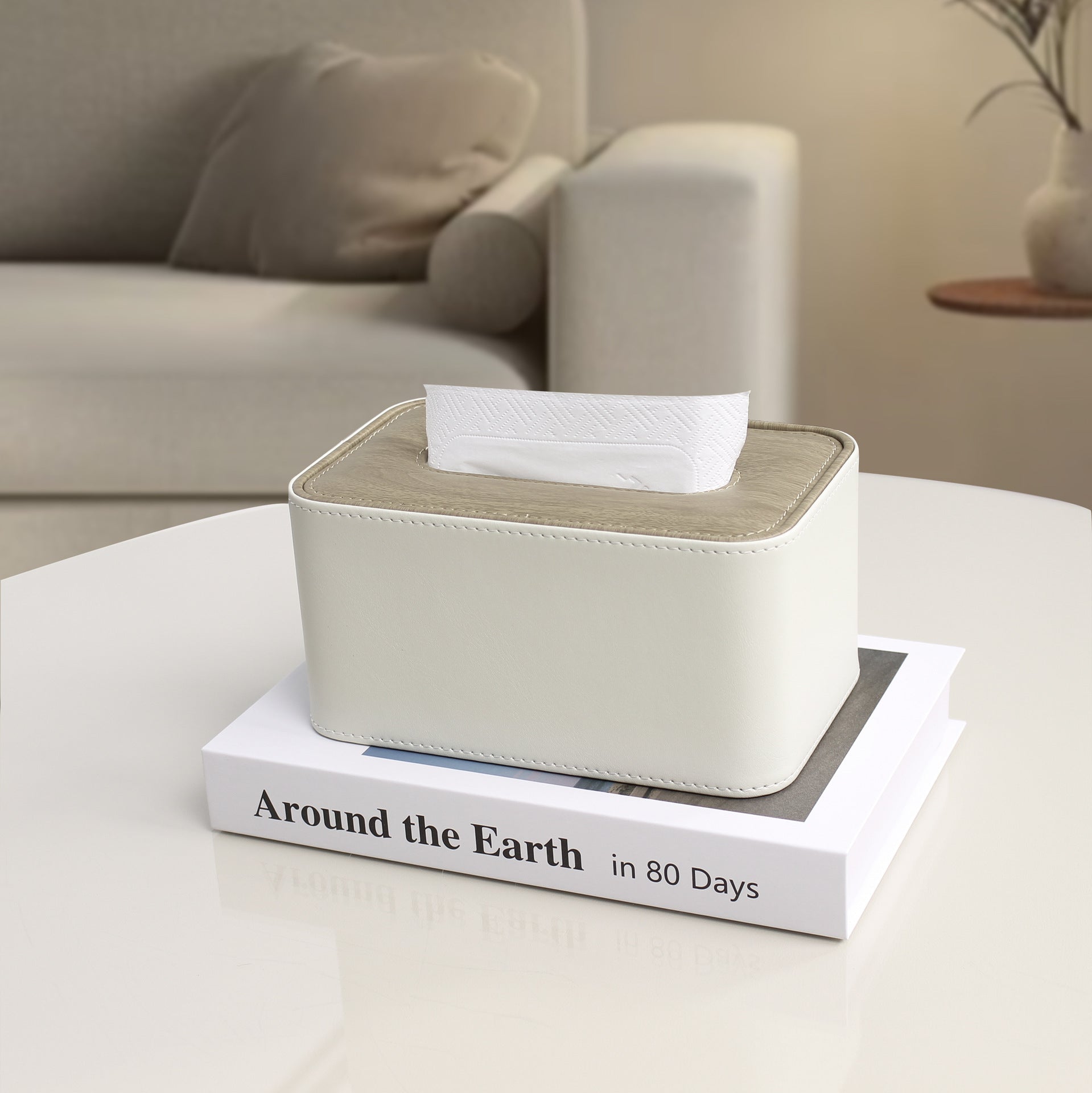 Desktop Tissue Box With Remote Storage